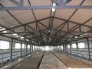 Chine Systèmes de encadrement en acier préfabriqués durables de vache/cheval avec l&#039;utilisation élevée flexible de l&#039;espace usine